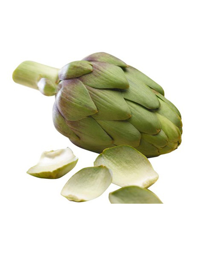 Artichaut