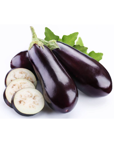 Aubergine
