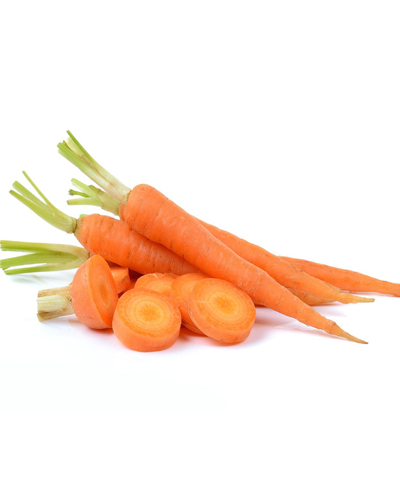 Carottes