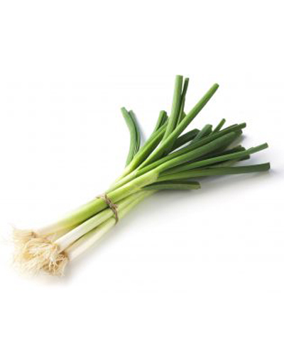 Ciboule