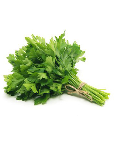 Persil plat