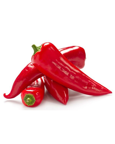 Poivron long rouge