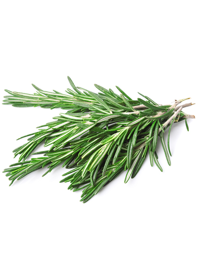 Romarin